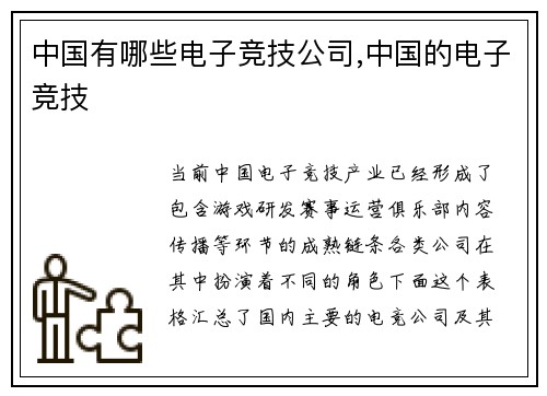 中国有哪些电子竞技公司,中国的电子竞技